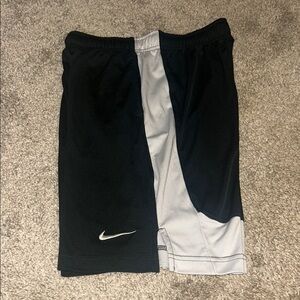 Nike Two-Tone Performance Shorts